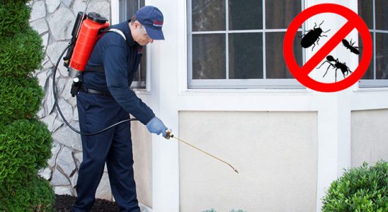 Sumbas Gümüşkurt İlaçlama böcek ilaçlama ve haşere kontrolü — ilaclama-tr.com